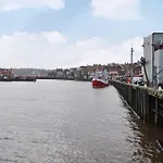 Brams View